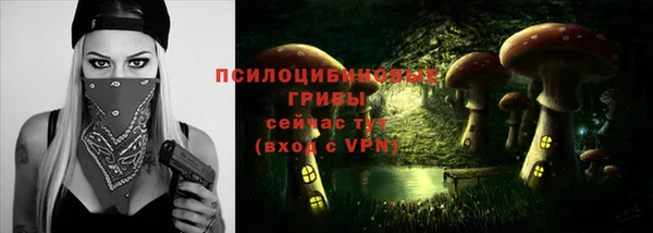 герыч Медногорск
