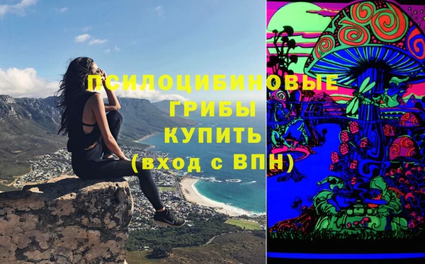 герыч Медногорск
