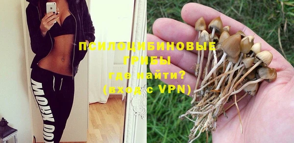 индика Магас