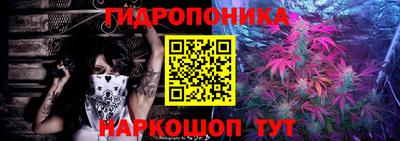 a pvp Гагарин