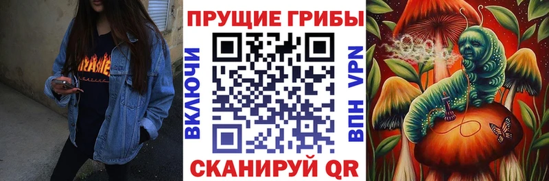 Галлюциногенные грибы прущие грибы  кракен маркетплейс  Мценск 
