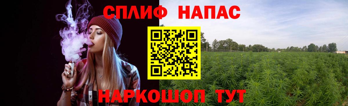 МАРИХУАНА семена Мценск